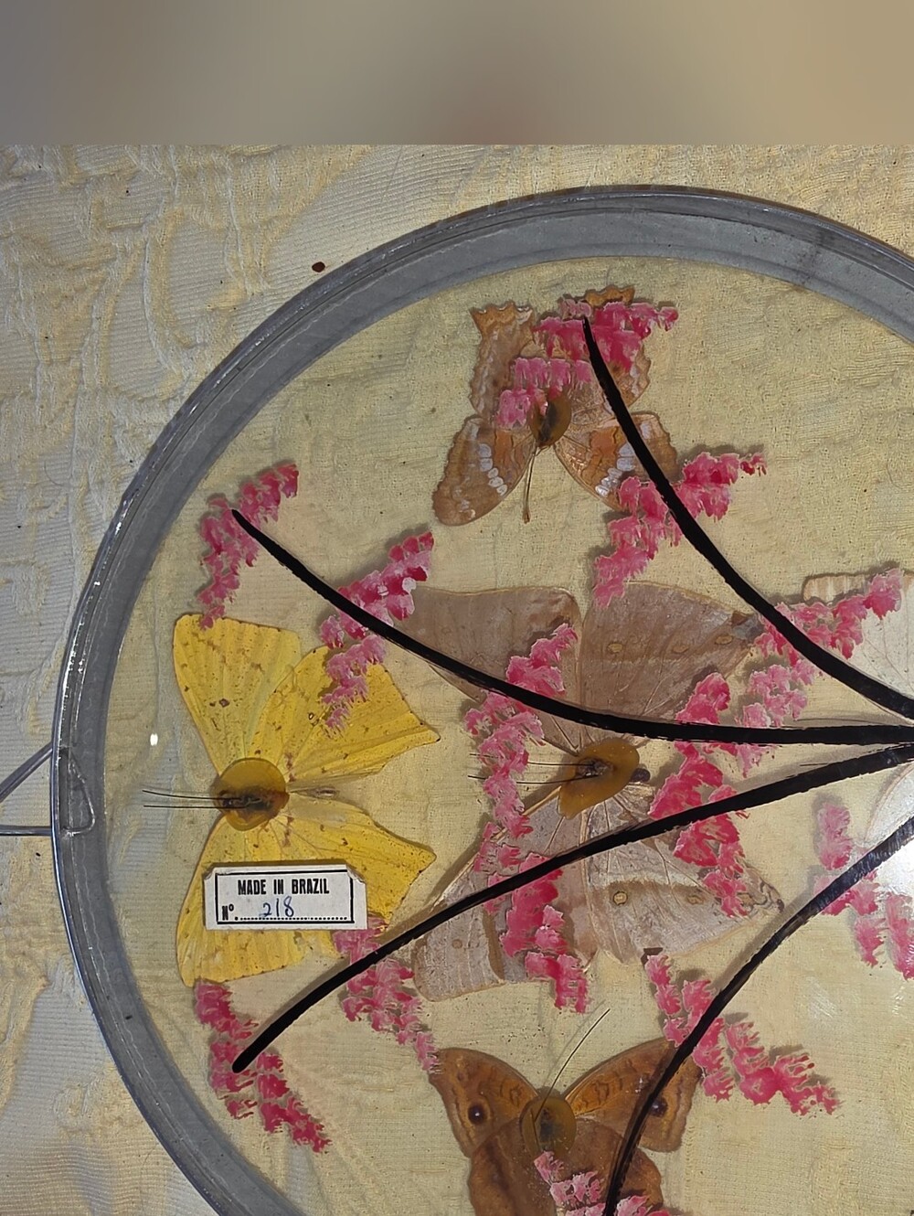 Framed Butterfly Collection - Picture 2 of 3